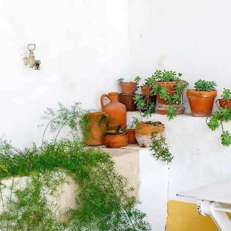 Casa Sao Sebastiao Dom wakacyjny