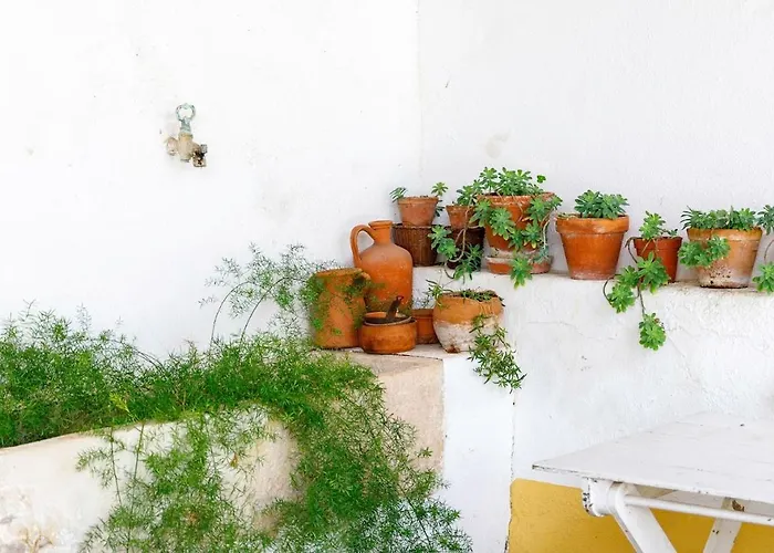 Casa Sao Sebastiao Casa vacanze
